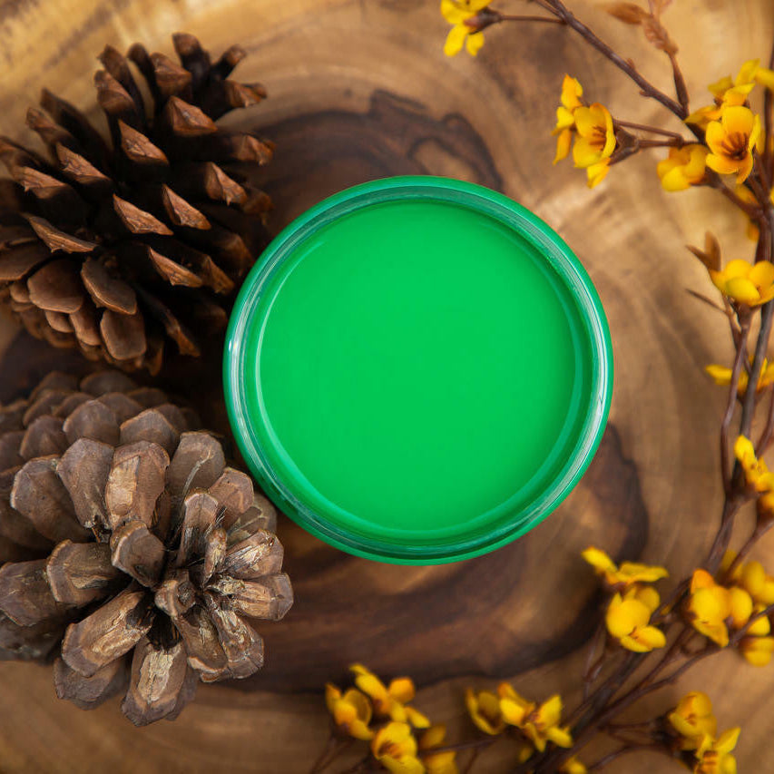 Jar of Dixie Belle Chalk Paint Tree Frog Green