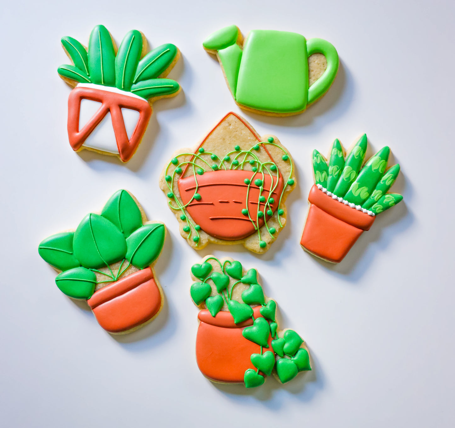 6/8 Succulant Cookie Decorating Class 1pm