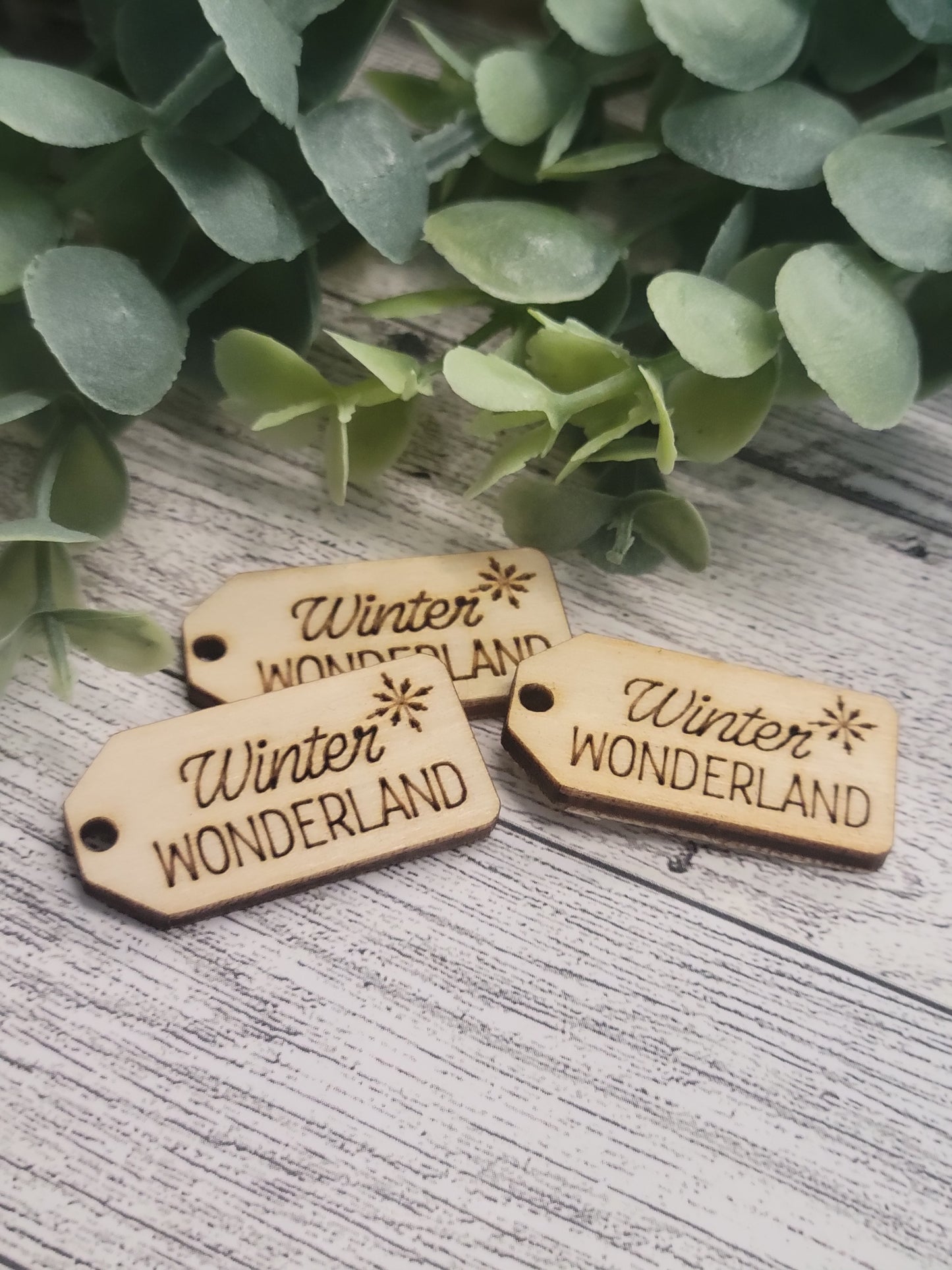 50 Winter Wonderland Wood Tags