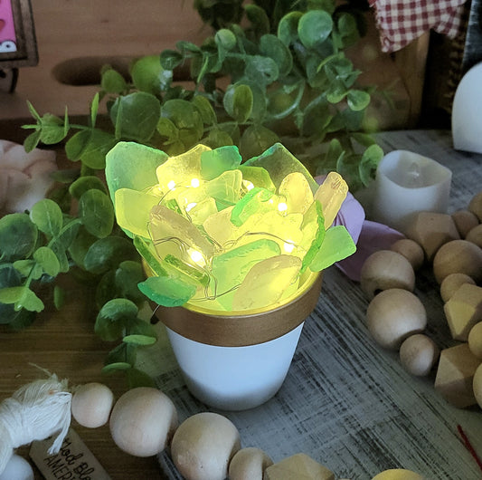 3/10 @ 6pm Sea Glass Lighted Succulent Class