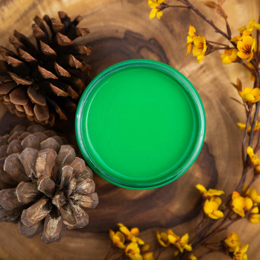 Jar of Dixie Belle Chalk Paint Tree Frog Green