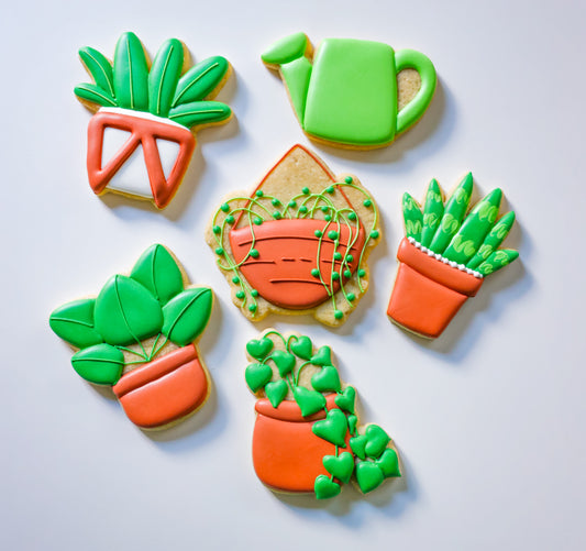 6/8 Succulant Cookie Decorating Class 1pm