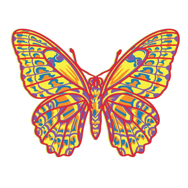 Colorful butterfly illustration on a white background